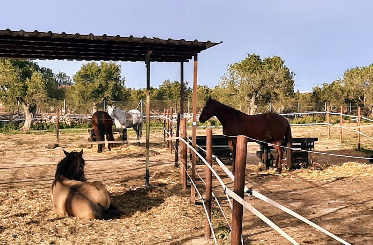 הוילה טראגונה Chalet Con Piscina Privada Y Barbacoa מראה חיצוני תמונה